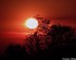 Coucher du soleil