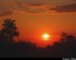 Coucher du soleil