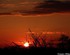 Coucher du soleil