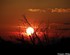 Coucher du soleil