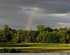 D’arc en ciel