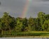 D’arc en ciel