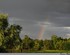 D’arc en ciel