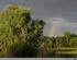 D’arc en ciel