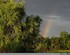 D’arc en ciel