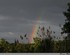 D’arc en ciel