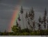 D’arc en ciel