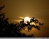 Coucher de soleil