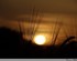 Coucher de soleil
