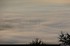 brouillard sur le centre Alsac