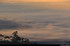 brouillard sur le centre Alsac