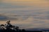 brouillard sur le centre Alsac