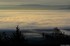 brouillard sur le centre Alsac