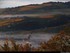 village du vignoble dans la br