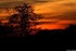 Coucher du soleil