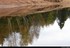 effet miroir