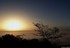 Brouillard  persistant