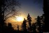 Brouillard  persistant