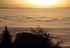 Brouillard  persistant