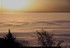 Brouillard  persistant