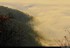 Brouillard  persistant