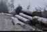 Chute de neige faible