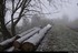 Chute de neige faible