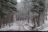 Chute de neige faible