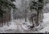 Chute de neige faible