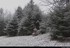 Chute de neige faible