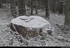 Chute de neige faible