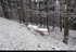 Chute de neige faible