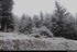 Chute de neige faible