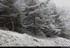 Chute de neige faible