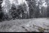 Chute de neige faible