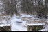 Alsace figée dans le froid