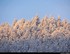 blanc de givre.