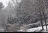Week-end neige dans les Vosges