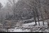 Week-end neige dans les Vosges
