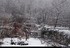 Week-end neige dans les Vosges
