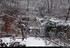 Week-end neige dans les Vosges