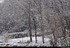 Week-end neige dans les Vosges