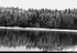 Week-end neige dans les Vosges