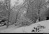 Week-end neige dans les Vosges
