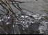 Figé dans la glace