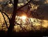 Coucher du soleil