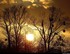 Coucher du soleil