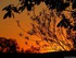 Coucher du soleil
