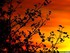 Coucher du soleil