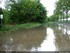 Inondation dans l'illwald